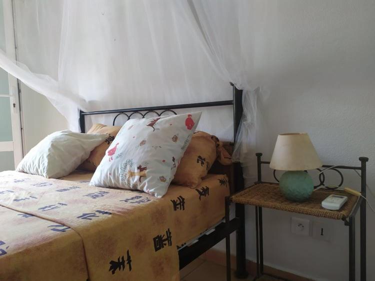 Charmant Appartement En Bord De Mer Avec Piscine Gourbeyre 외부 사진